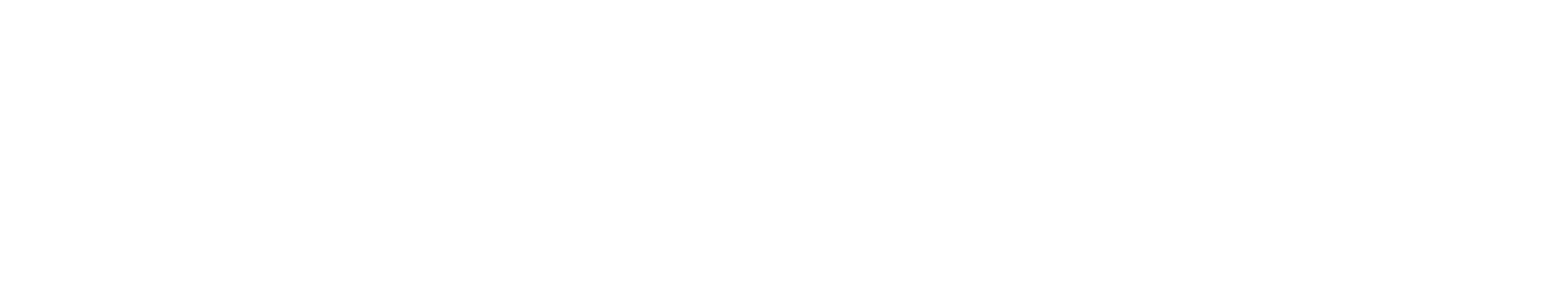 SOC Líderes en Asesoría Financiera